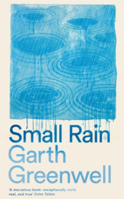 Picture of Small Rain