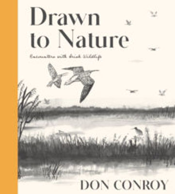 Picture of Drawn to Nature : Encounters with Irish Wildlife