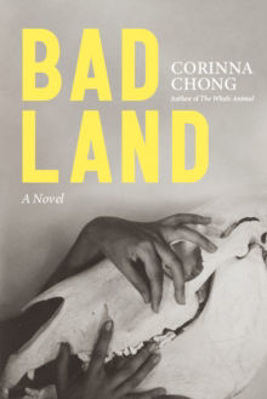 Picture of Bad Land