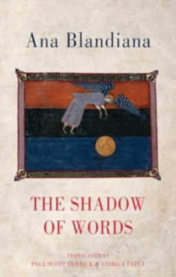 Picture of The Shadow of Words