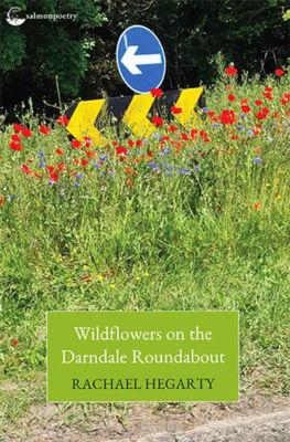 Picture of Wildflowers on the Darndale Roundabout