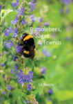 Picture of Bumblebees, Sages & Friends