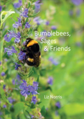 Picture of Bumblebees, Sages & Friends