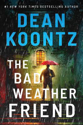 Picture of The Bad Weather Friend