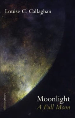 Picture of Moonlight: A Full Moon