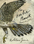 Picture of The Keelie Hawk Tpb Mme