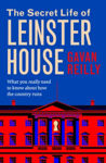 Picture of The Secret Life of Leinster House: What you really need to know about how the country is run