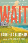 Picture of Wait: A Novel