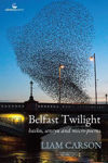 Picture of Belfast Twilight