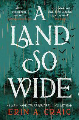 Picture of A Land So Wide: A breathtaking, deliciously dark fairy tale from #1 New York Times and USA Today bestselling author Erin A. Craig