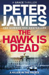 Picture of The Hawk Is Dead