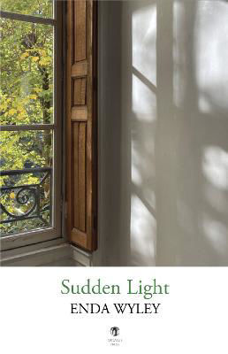 Picture of Sudden Light