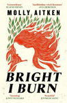 Picture of Bright I Burn