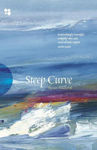 Picture of Steep Curve: Poems