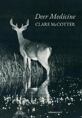 Picture of Deer Medicine