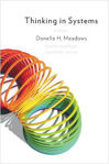 Picture of Thinking in Systems: International Bestseller