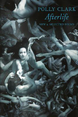 Picture of Afterlife: New & Selected Poems
