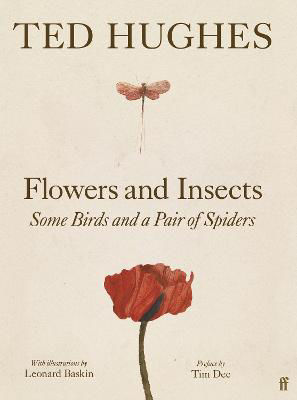 Picture of Flowers and Insects, Some Birds and a Pair of Spiders