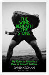 Picture of The Wind Beneath the Stone: My Quest to Unearth a Piece of Ireland's Folklore