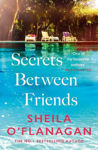Picture of Secrets Between Friends: 'A warm, sensitive story about the power of female friendship . . . and the joy of second chances' Lucy Diamond