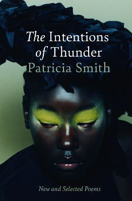 Picture of The Intentions of Thunder: New and Selected Poems