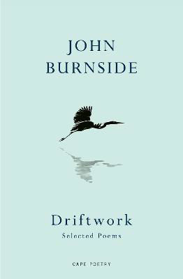 Picture of Driftwork: Selected Poems